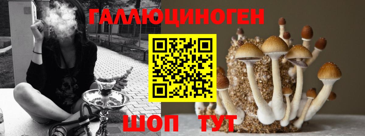 Псилоцибиновые грибы Партизанск